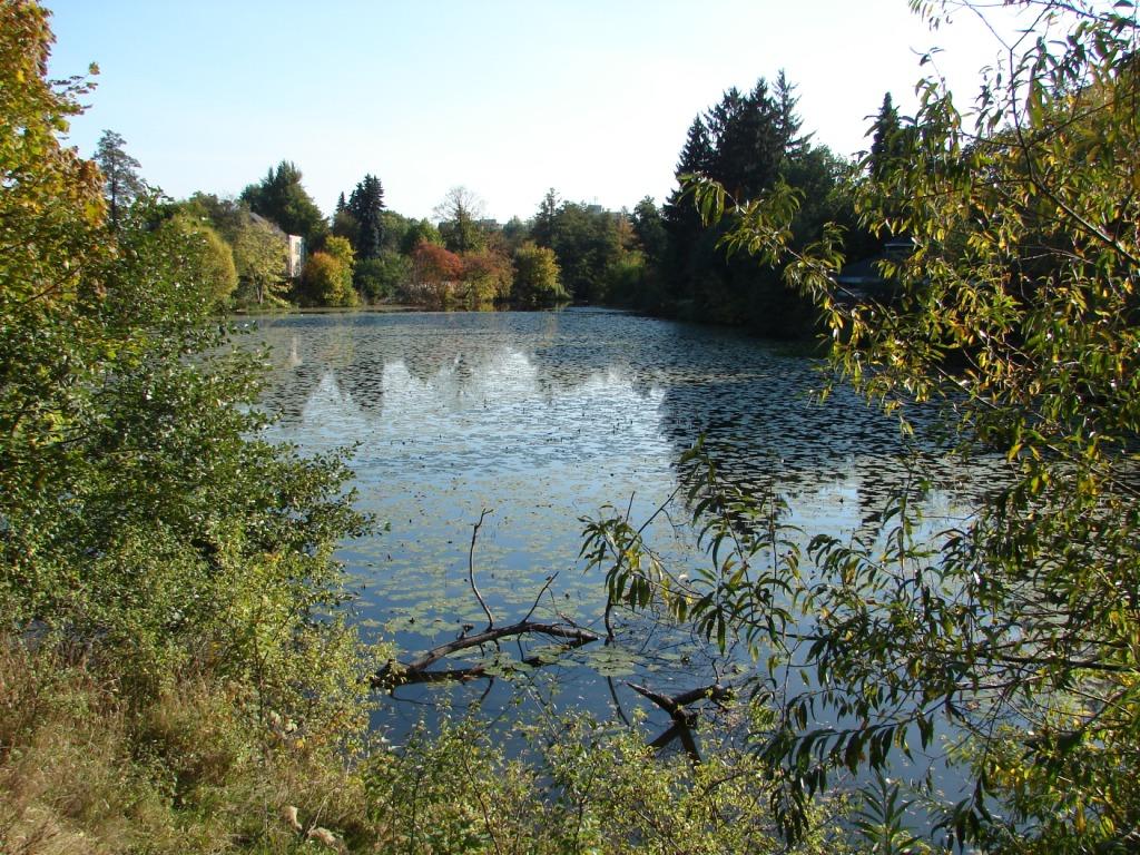 Bubeníkovy sady a Matiční jezero v Pardubicích v dnešní době