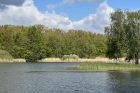 Na Bohdanečském rybníku uvidíte třeba zrzohlávky rudozobé