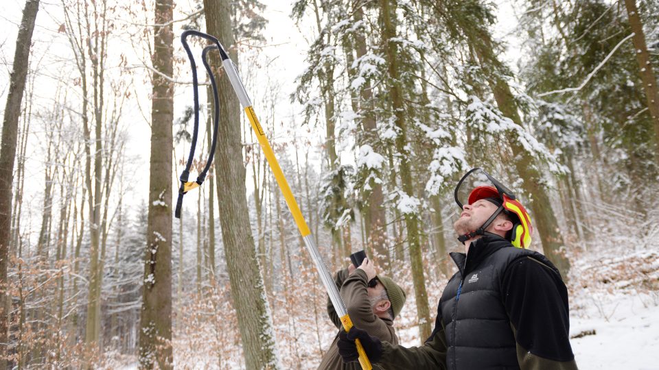 Martin Foltánek a Josef Cafourek vybírají nejvhodnější větve, kam vystřelí pomocné lanko. Pomocí něj následně lezec přetáhne nosné lano