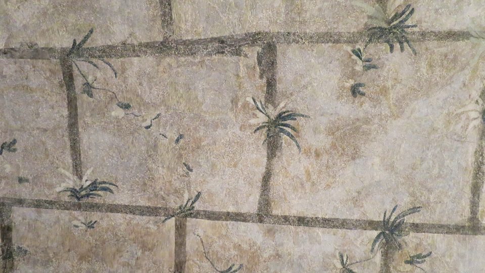 Detail stěny s renesanční malbou s rostlinným motivem před havárií