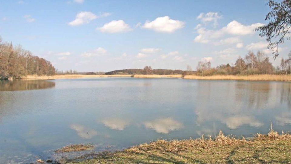 Bohdanečský rybník