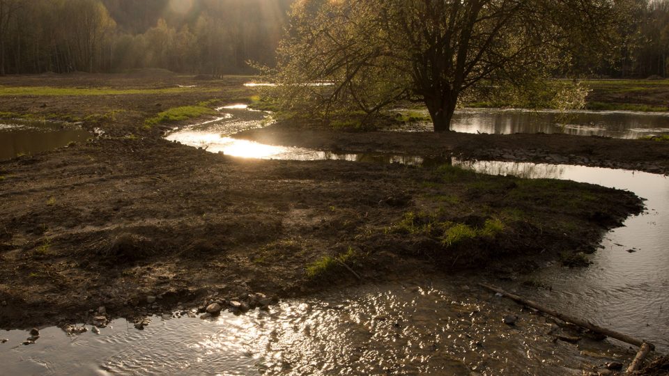 Původní rovné, jeden metr zahloubené koryto potoka Podhůra bylo zasypáno a v údolí se vlní nový mělký potok
