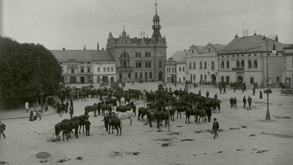 Odvod koní v roce 1914