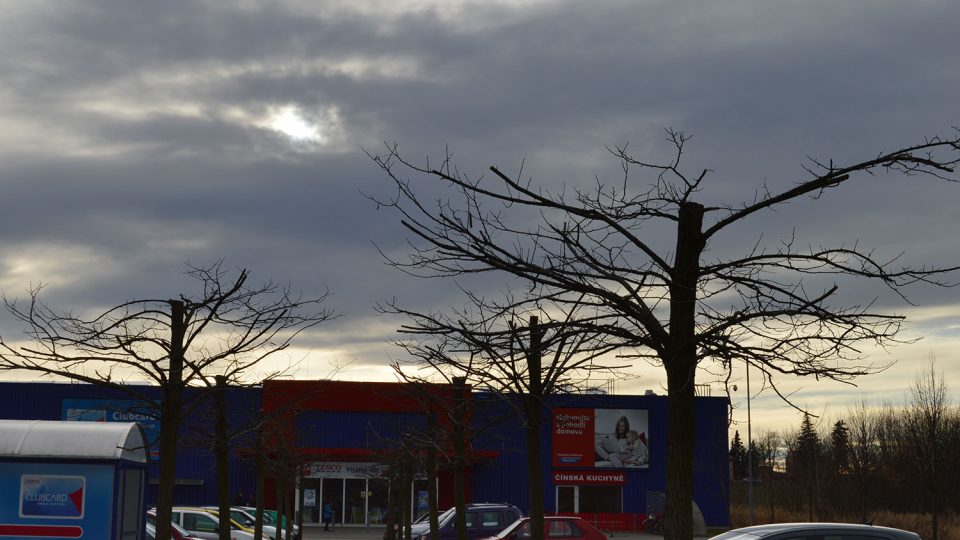 Přerostlé stromky na parkovišti u obchodního domu Tesco po necitlivém zásahu
