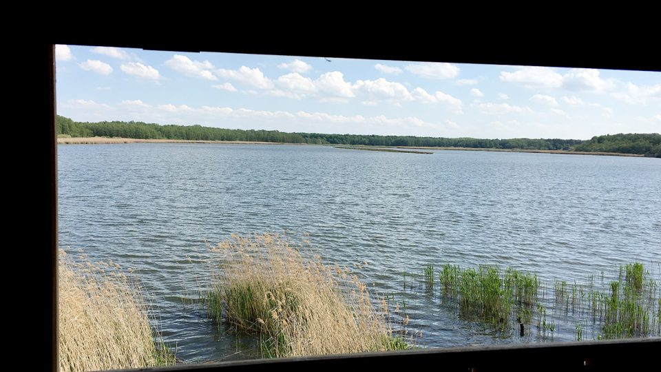 Výhled na Bohdanečský rybník z nové pozorovatelny