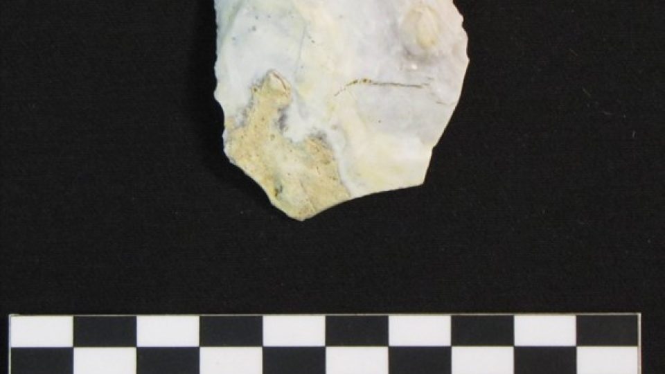 Mladopaleolitický úštěp pochází z doby před 20 000 lety, archeologové ho objevili při výzkumu v chrudimské lokalitě Píšťovy