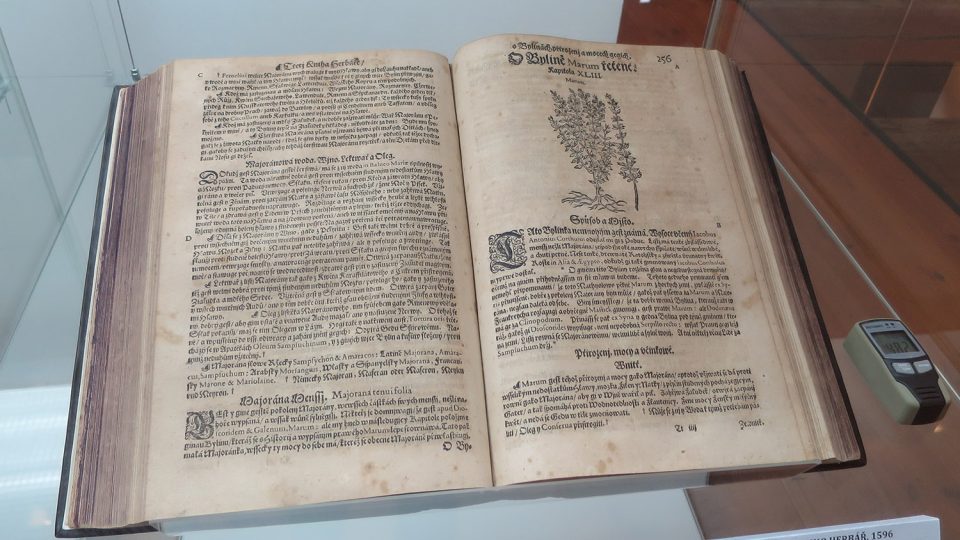 Originál Mattioliho herbáře z roku 1596 chrání vitrina, stránkami si můžete listovat na sousední dotykové obrazovce