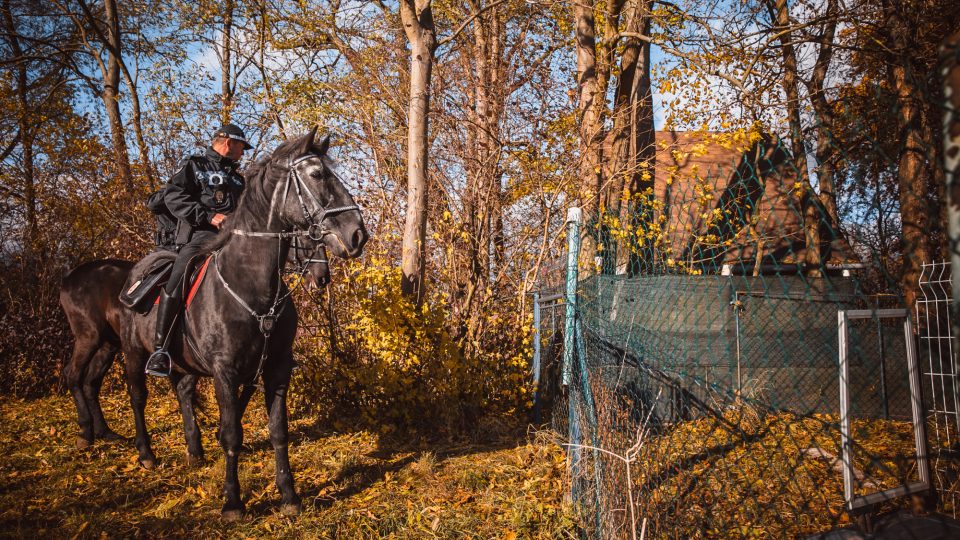 Strážníci na koních kontrolují chatové oblasti v okolí Pardubic