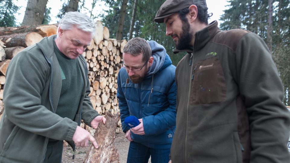 Lesník Milan Morch ukazuje "cestičky" kůrovce