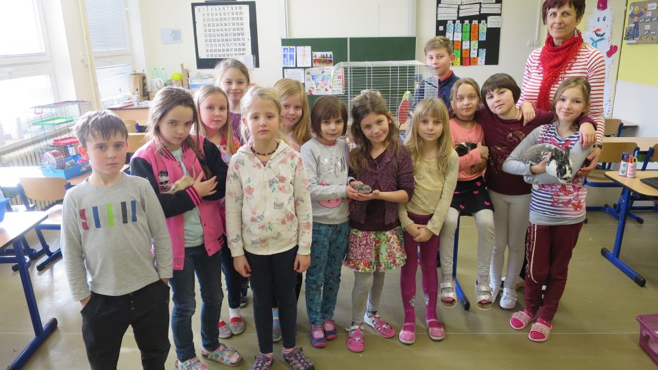 Jarmila Tauberová vede na choceňské základní škole Kollárova chovatelský kroužek