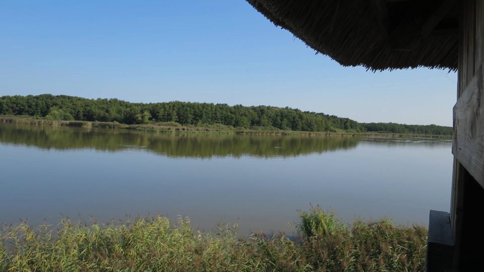 Pohled na hladinu Bohdanečského rybníka
