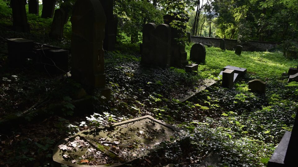 Hřbitov v Luži je místem posledního odpočinku předků Breitenfeldových
