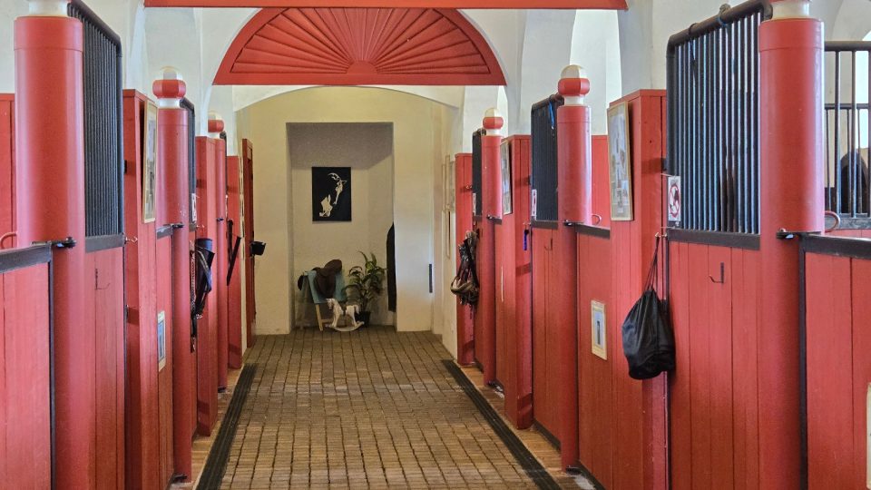 Ve stájích zámku Karlova Koruna | foto: Vladislava Wildová, Český rozhlas Ve stájích zámku Karlova Koruna
