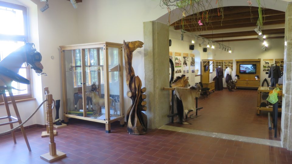 Přízemní část expozice Interaktivního muzea starokladrubského koně