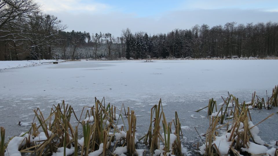 Zamrzlý rybník Vilém