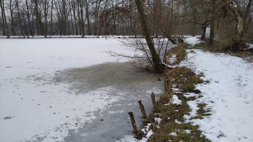 Hráz rybníka v Bošínské oboře