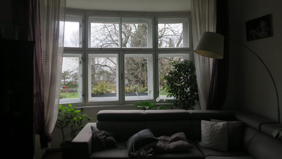 Pohled z obývacího pokoje Čížkovy vily do zahrady