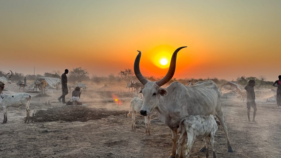 Málo komfortu, hodně zážitků. Lenka Hrabalová vypráví svoje zážitky z cest po Africe a Blízkém východě