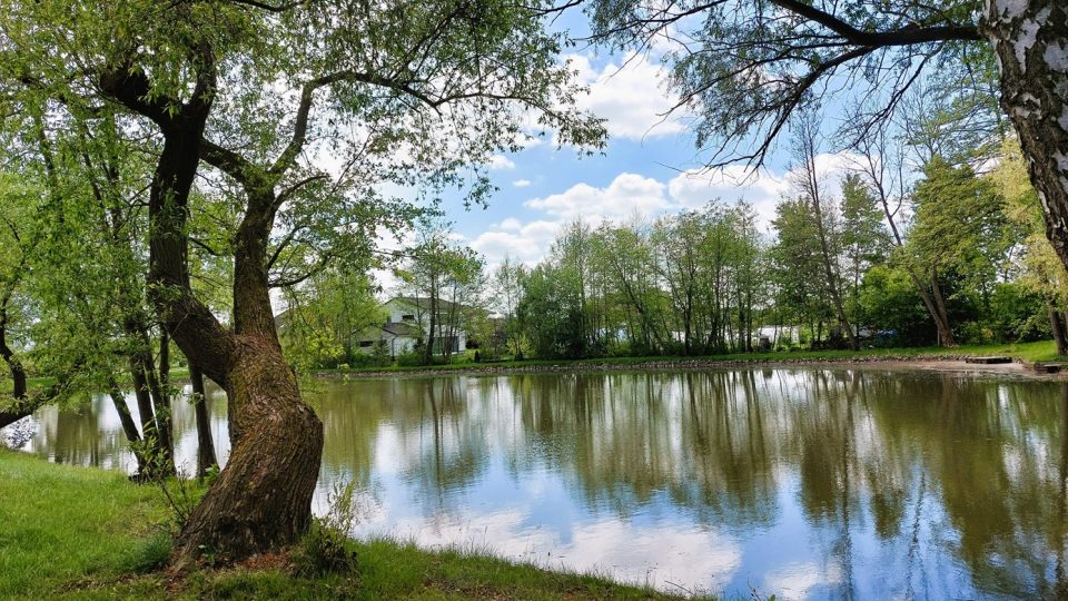 Návesní rybník Louž v Živanicích