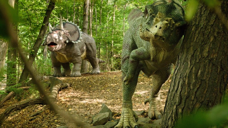 Dinosauři tu číhají za každým stromem | foto: Zdeněk Truhlář, Český rozhlas Dinosauři tu číhají za každým stromem