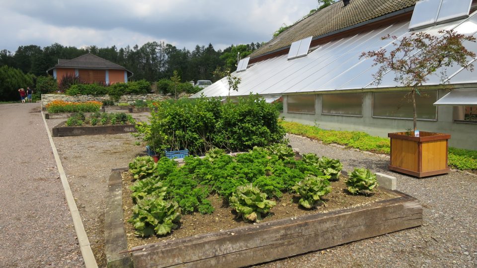 U nového skleníku vzniká bylinková zahrada