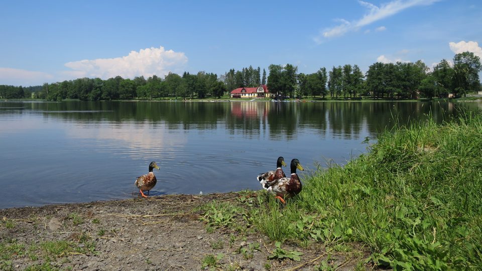 Dlouhý rybník u Lanškrouna vznikl už v 15. století, rekreačním účelům slouží od roku 1911