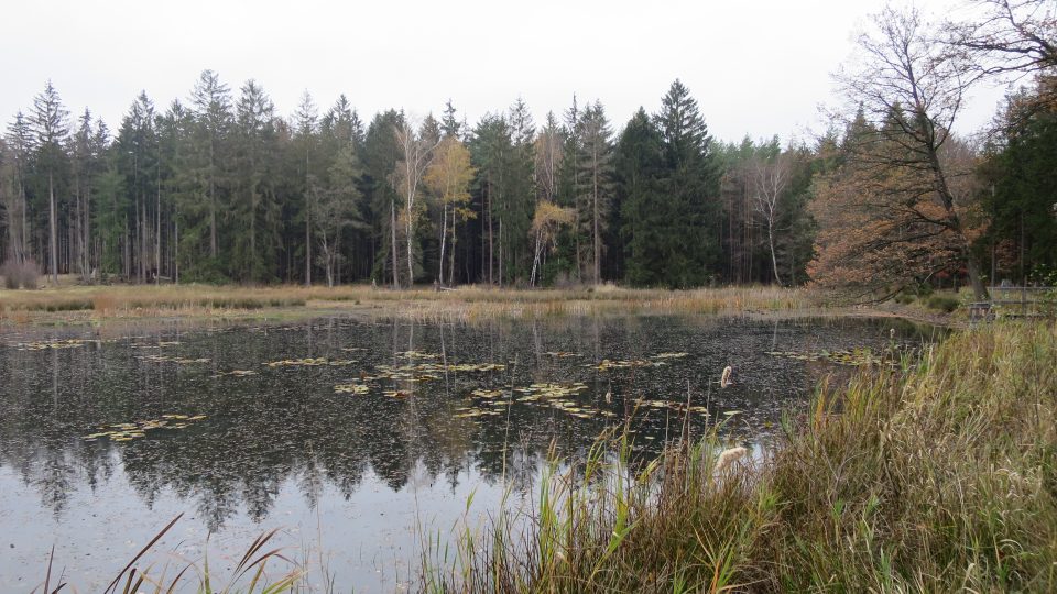Přírodní památka rybník Boušovka