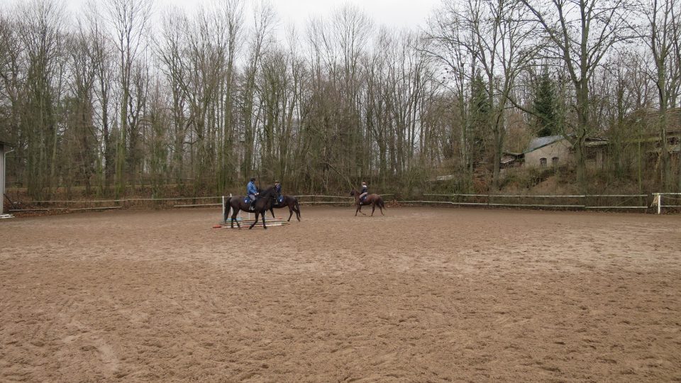 Každý den v jízdárně slatiňanského hřebčína trénují studenti Střední školy jezdectví a chovu koní Kladruby nad Labem