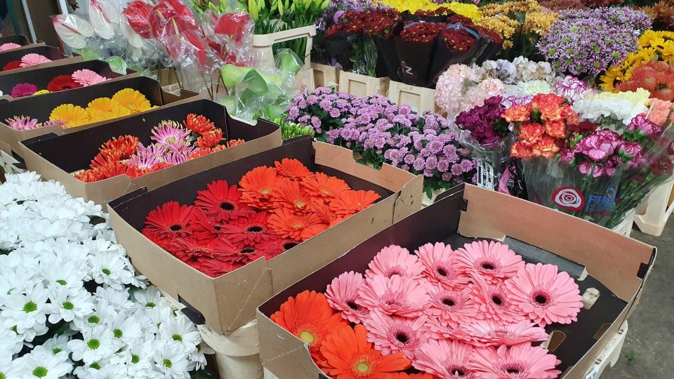 Řezané květiny se nakupují na burze v Holandsku