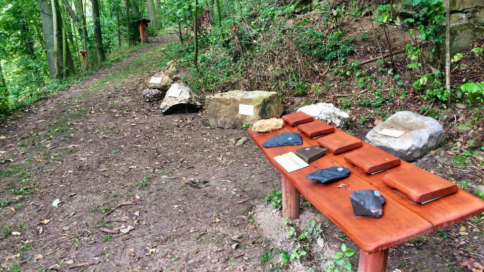 Nová naučná stezka v místní části Borová vede lesem