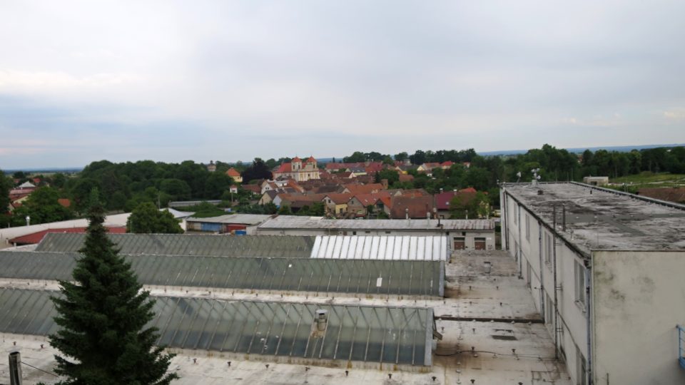 Pohled z Vosáhlovy vily směrem ke kostelu v Dašicích býval původně daleko hezčí