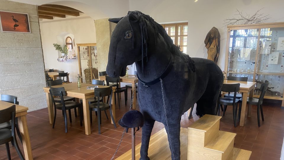 Ve Švýcárně zažijí zábavu i děti