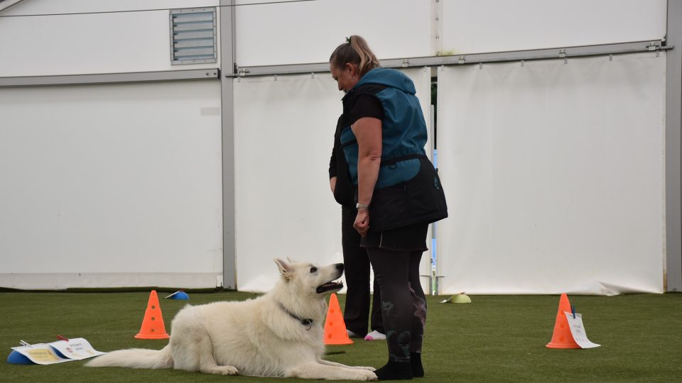 Agility Sezemice