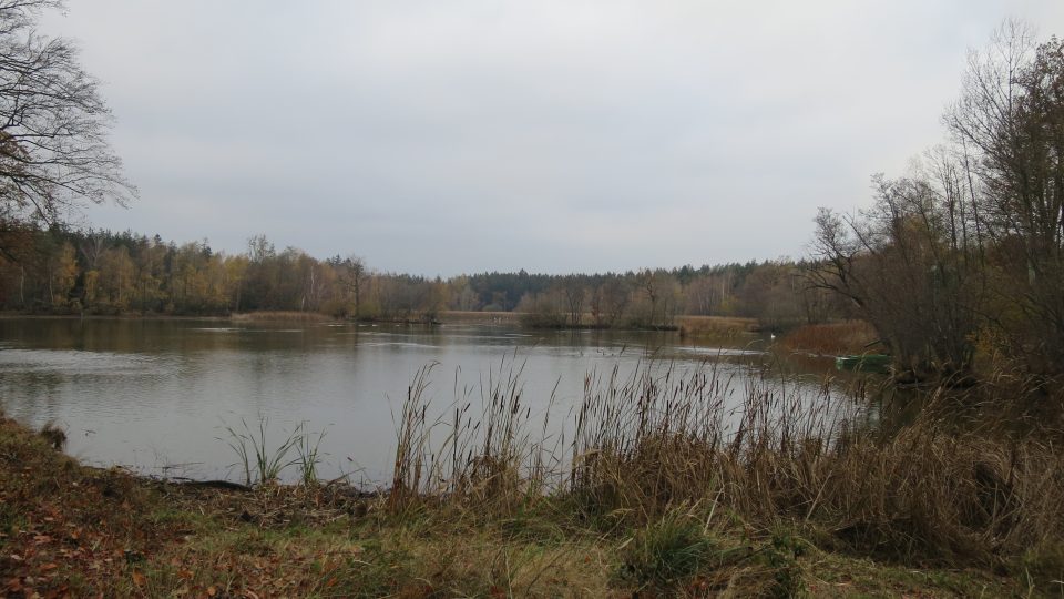 Starý rybník ve Slavické oboře