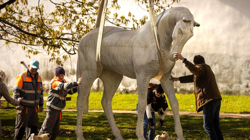 Instalace nerezové sochy koně u pardubického zámku