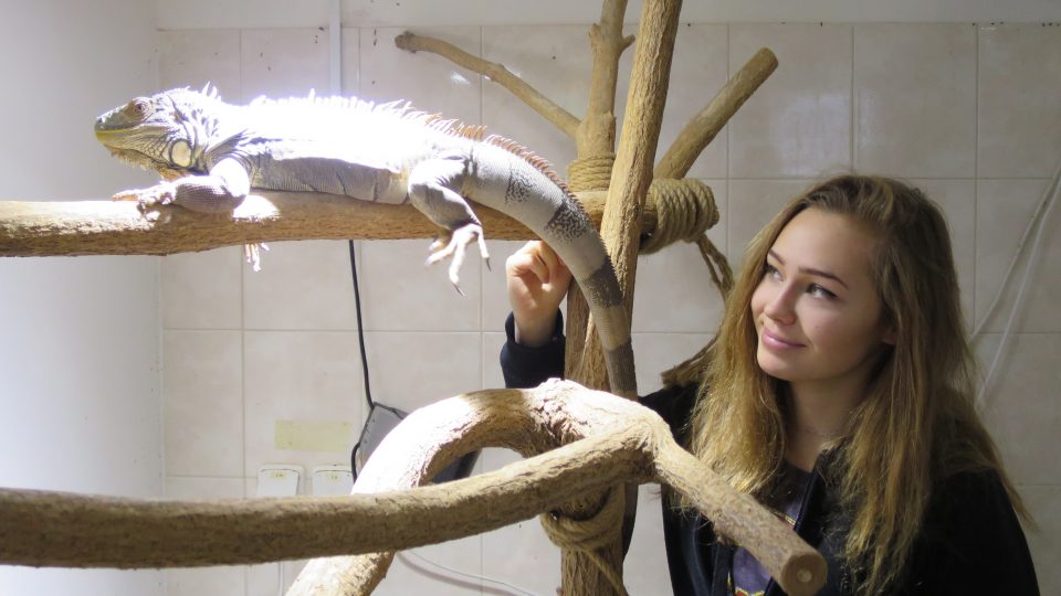Studentka oboru Chovatel cizokrajných zvířat Eva Kučerová v učebně chovu plazů