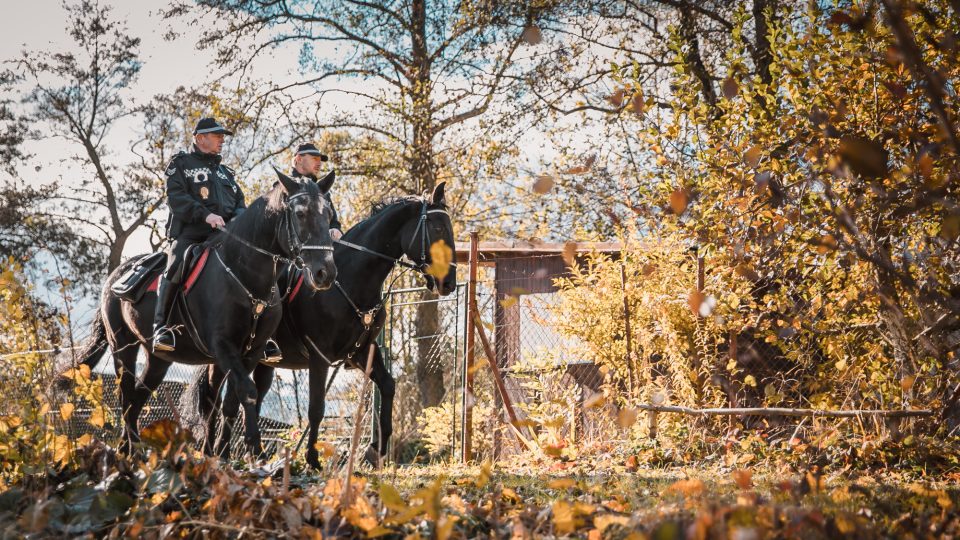 Pardubičtí strážníci vyráží na preventivní kontroly do chatových oblastí na koních a se psy