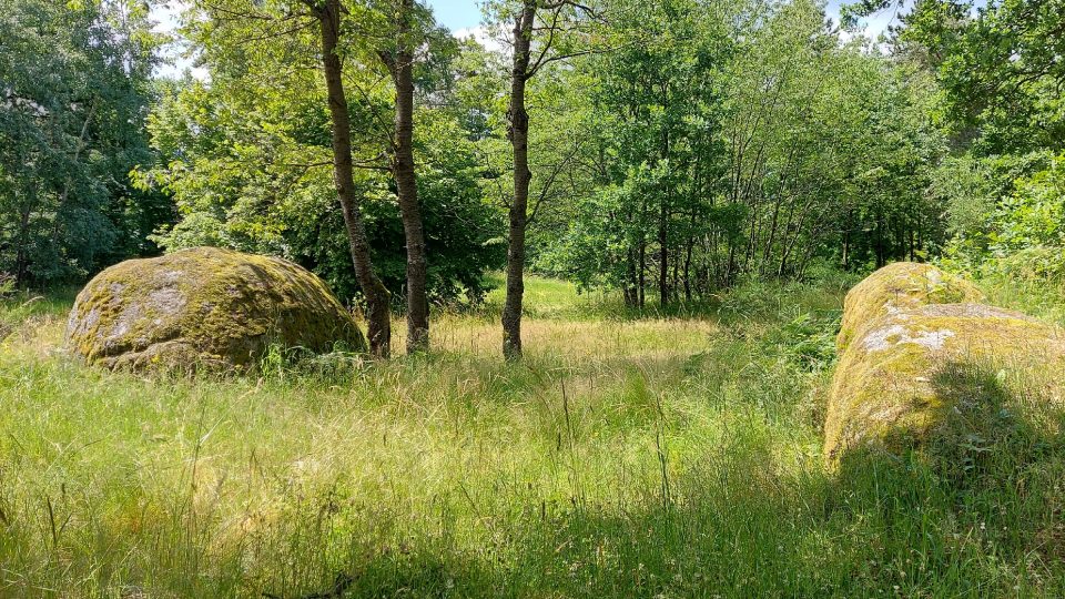 Každý žulový solitér má svůj specifický charakter a v krajině tak vytváří jedinečnou atmosféru