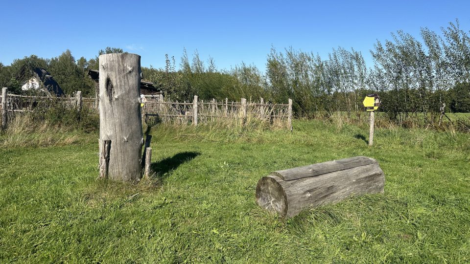 První úly byly velmi primitivní. Včely umisťovali do kmenů s vydlabanou dírou