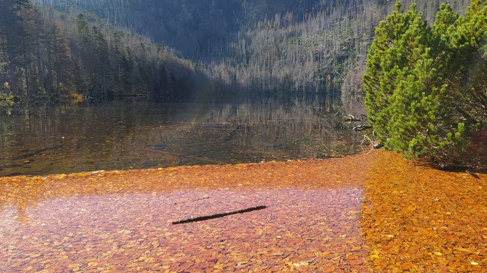 Černé jezero je největším jezerem u nás