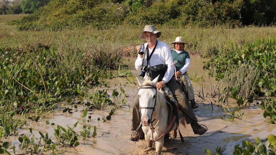 Na koni mokřadem Pantanal v Amazonii