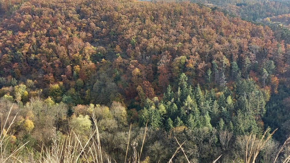 Pohled z vyhlídky u Kosoře do zabarvených lesů