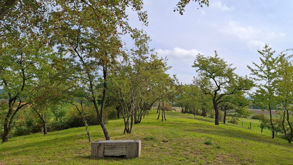 Výhled do okolí je možné si vychutnat z příjemné lavičky, která je umístěna hned u zvonice | foto: Markéta Vejvodová, Český rozhlas Výhled do okolí je možné si vychutnat z příjemné lavičky, která je umístěna hned u zvonice
