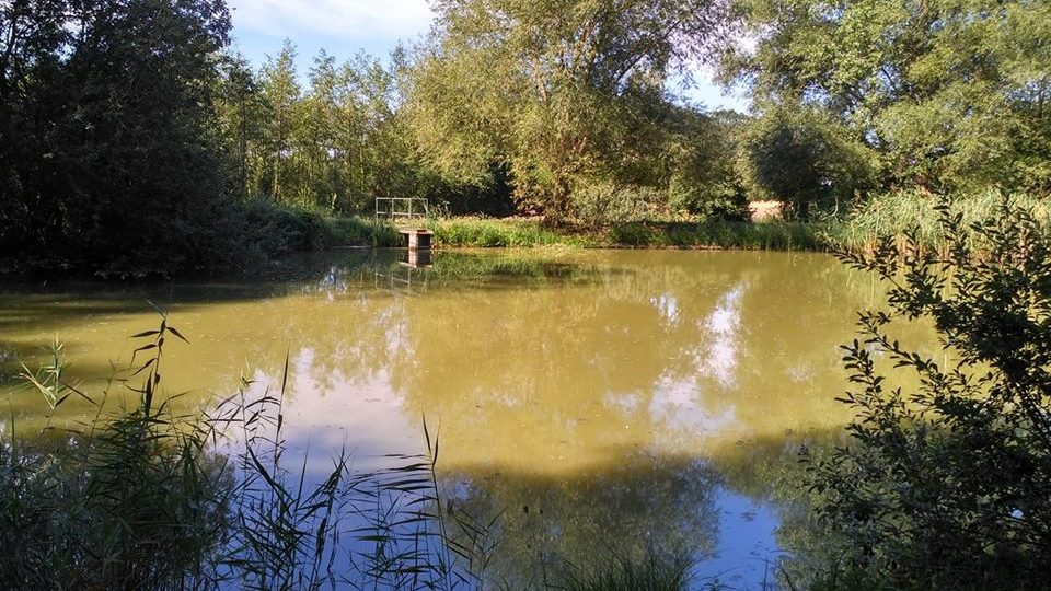 Rybník Dereznice, tichý kout ve kterém by letadlo nikdo nečekal