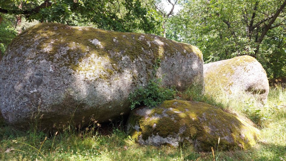 Petrovicko je oblast plná volně ležících žulových balvanů nejrůznějších tvarů
