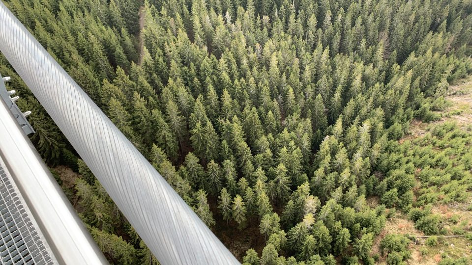 Visutý most na Dolní Moravě nesou masivní ocelová lana. Další lana lávku stabilizují proti poryvům větru