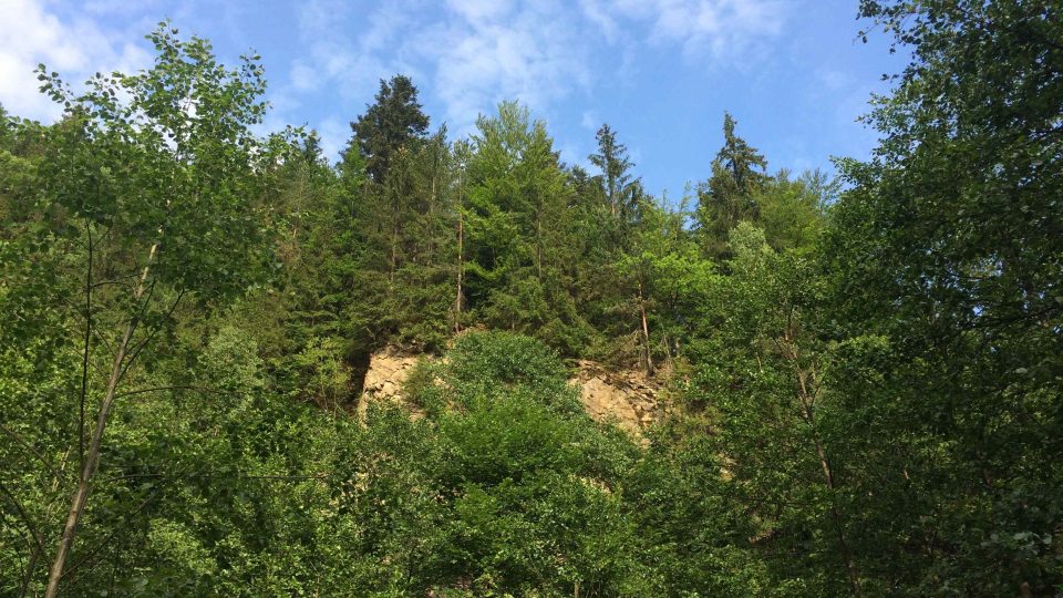 Skaliska ruly jsou v Údolí Moravské Sázavy běžné, kdysi se tu tahle hornina těžila