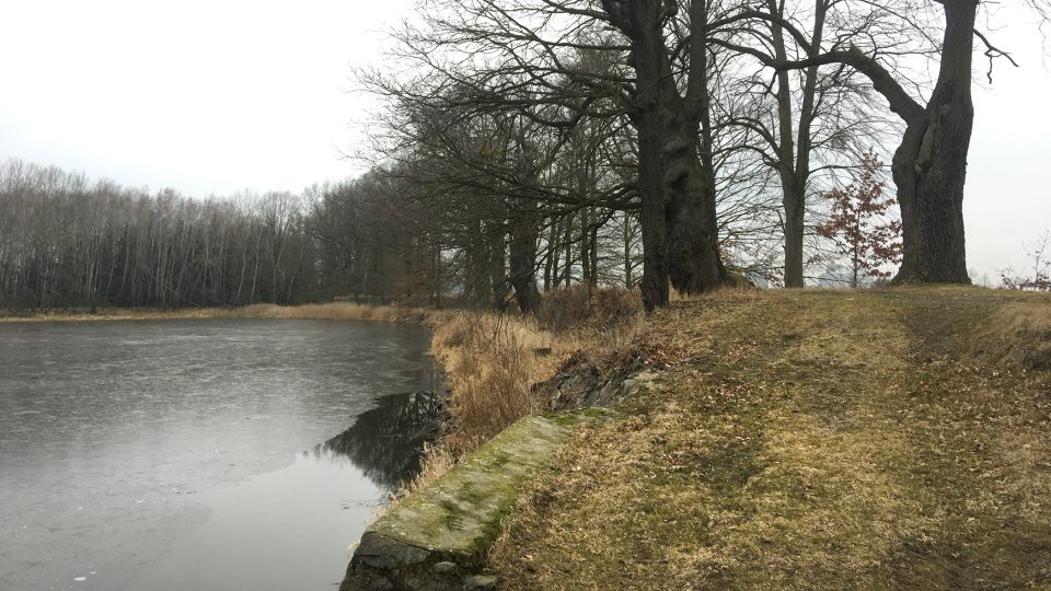 Hráz rybníku Nečas, jednoho z nejstarších na Pardubicku