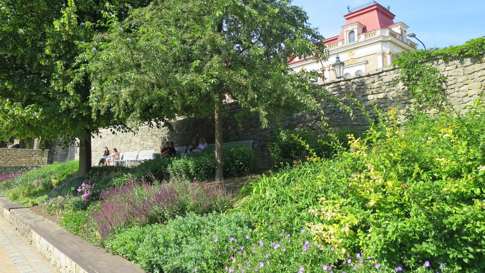 Záhony Klášterních zahrad v Litomyšli působí velmi decentrně