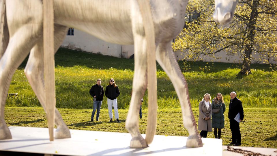 Na instalaci ocelové sochy koně u pardubického zámku dohlížel autor Michal Gabriel